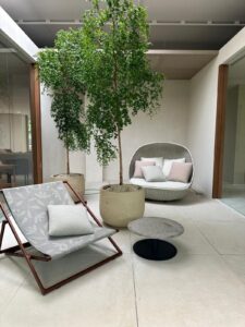 senini-design